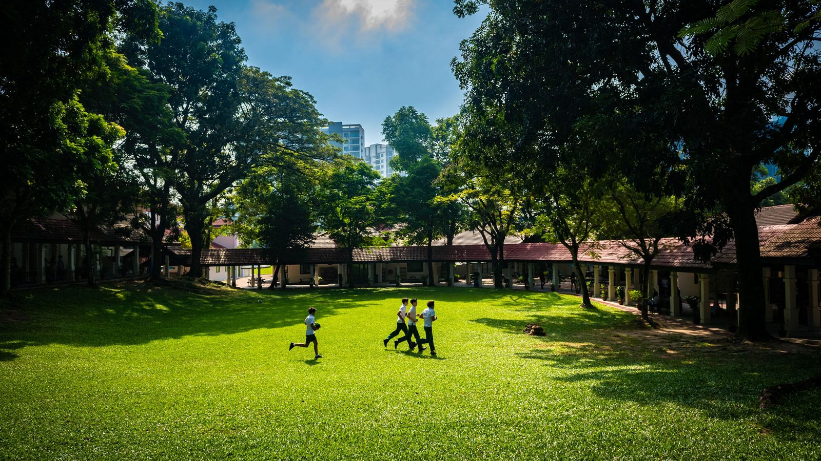 愛麗絲史密斯學校 The Alice Smith School