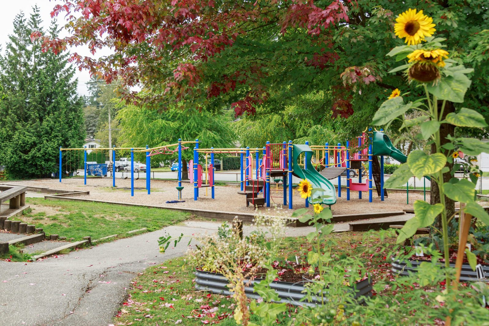 肯尼斯戈登楓林學校 Kenneth Gordon Maplewood School