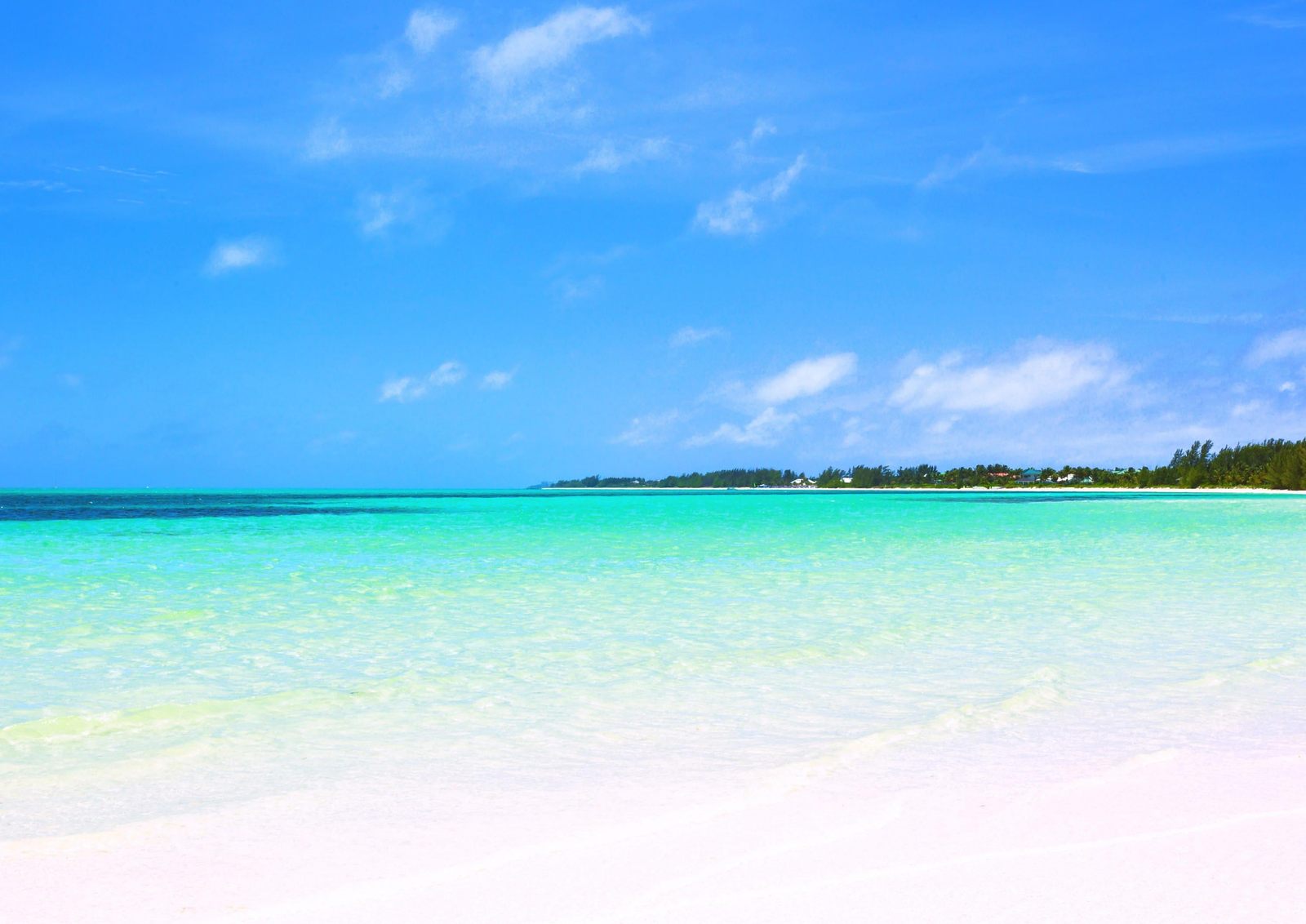 King's College School, The Bahamas — Summer Camp